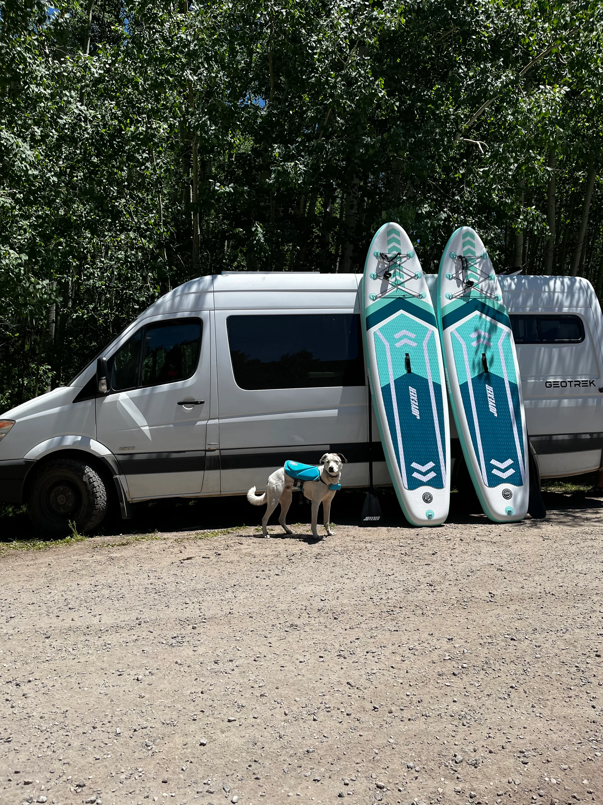 2012 Mercedes Sprinter 2WD (BEAU) - Image 10